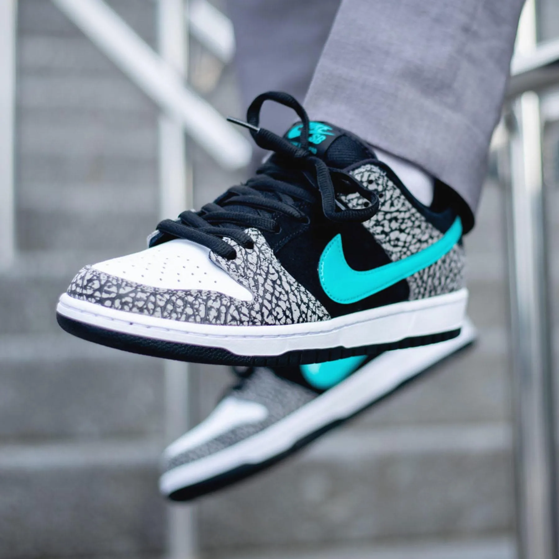 Nike Dunk Low Pro SB 'Atmos Elephant'